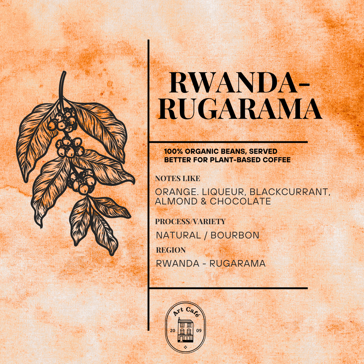 Rwanda coffee beans by Art Café Oxford